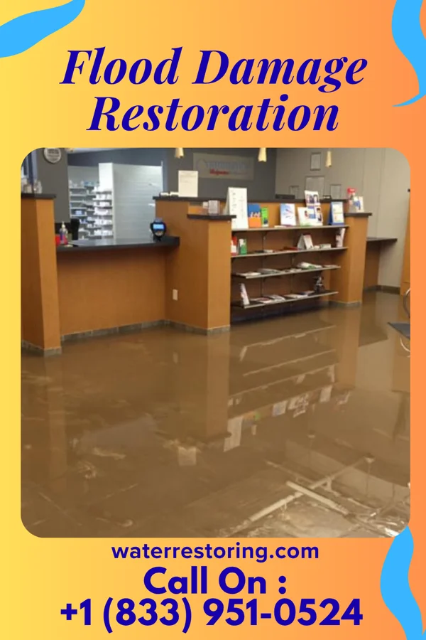Flood Damage Restoration in Onley, VA