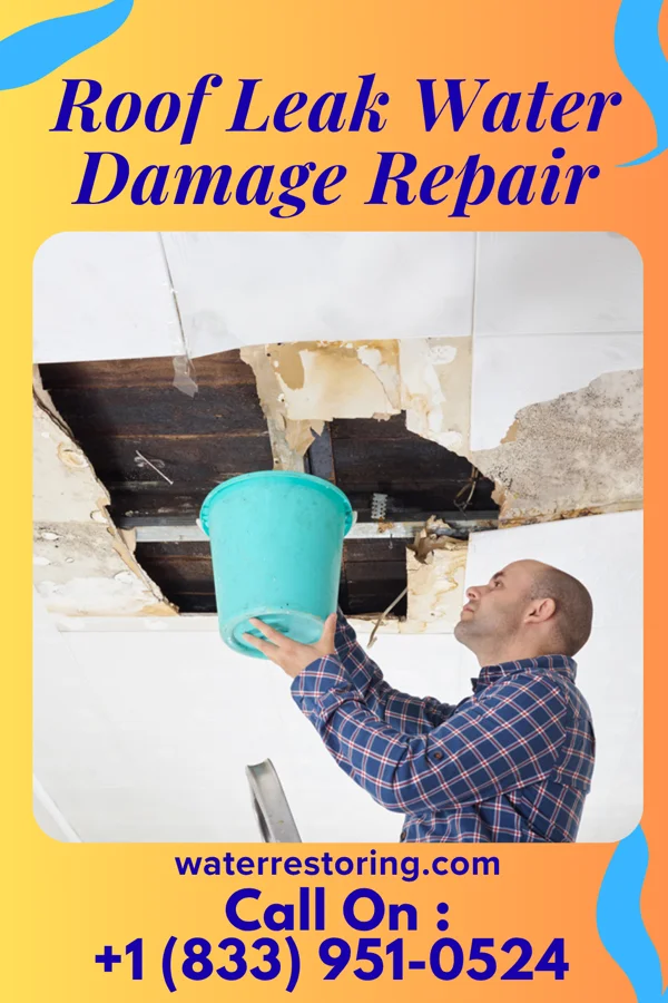 Roof Leak Water Damage Repair in Onley, VA