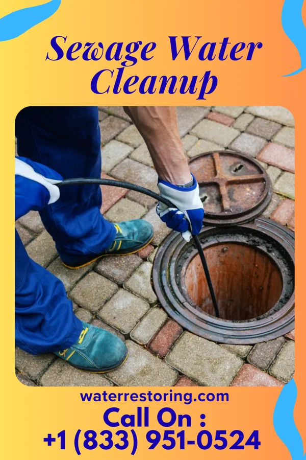 Sewage Water Cleanup in Onley, VA